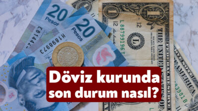 2024 yılının son günlerde yatırımcılar ve vatandaşlar döviz kurundaki gelişmeleri