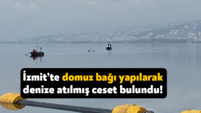 İzmit’te yer alan Emex Otel’in arkasındaki sahil bölümünde balıkçıların elleri