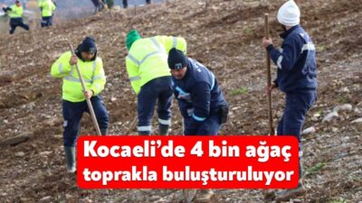 Büyükşehir, “Daha yeşil bir Kocaeli” sloganıyla yürüttüğü ağaçlandırma çalışmalarıyla kenti