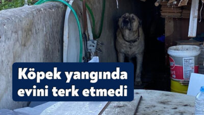 Kocaeli'nin Gölcük ilçesinde yangının çıktığı tek katlı bağ evine, elverişsiz