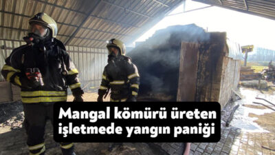Kocaeli'nin İzmit ilçesinde mangal kömürü üretimi yapılan bir işletmede yangın