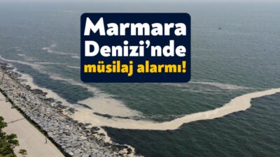 Marmara Denizi Eylem Planı kapsamında oluşturulan Müsilaj Bilim ve Teknik