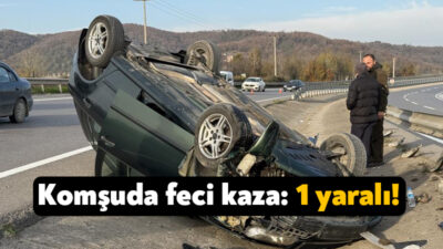 Sakarya'nın Adapazarı ilçesi D-650 kara yolunda sürücüsünün direksiyon hakimiyetini kaybetmesi