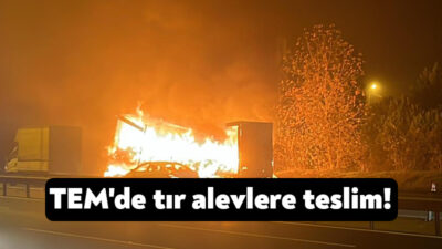 TEM Otoyolu'nun Kocaeli geçişinde seyir halindeki tır alev alev yandı.
