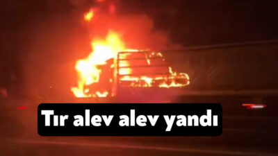 Kocaeli'nin Çayırova ilçesinde seyir halindeyken alev alan tır kullanılamaz hale