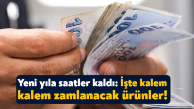 Yeni yıla saatler kalırken 2025 yılında geçerli olacak zamlar da