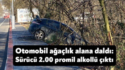 Kocaeli'nin İzmit ilçesinde virajı alamayarak önce kaldırıma çarpan, ardından yoldan