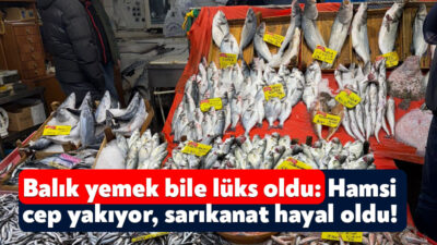 Türkiye’de yaşanan enflasyon vatandaşa balık yemeyi de unutturdu. Balık tezgahında