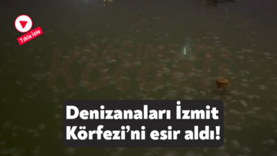 İzmit Körfezi’ni saran denizanası yoğunluğu dikkat çekti. Bölgede bulunan vatandaşlar