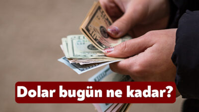 Türkiye'de döviz kurları 15 Şubat 2025 Cumartesi günü de yatırımcılar,