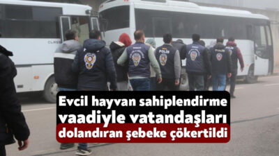 Kocaeli dahil 7 ilde evcil hayvan sahiplendirme adı altında sahte