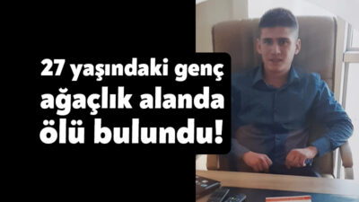Kocaeli'nin Körfez ilçesinde bir genç, ağaçlık alanında ölü olarak bulundu.