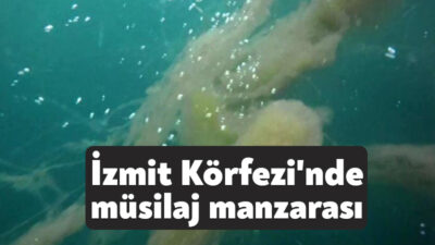 İzmit Körfezi'nde yeniden görülmeye başlanan müsilaj tedirginliğe sebep oldu. Su