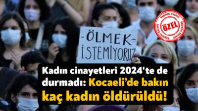 Kadın Cinayetlerini Durduracağız Platformu 2024 yılında öldürülen ve şüpheli ölüm