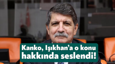 CHP Kocaeli Milletvekili Prof. Dr. Mühip Kanko, Çalışma ve Sosyal