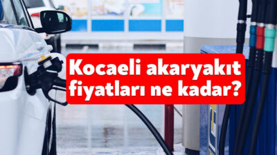 Akaryakıt fiyatları, döviz kurlarındaki hareketlilik ve petrol fiyatlarının para birimlerine