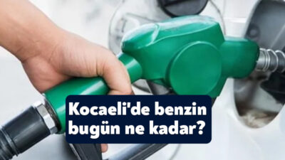 Döviz kurlarındaki hareketlilik, akaryakıt fiyatlarında belirleyici olmaya devam ediyor. Son