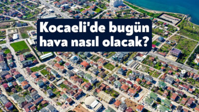 Batı Akdeniz'in Toroslar mevkii, İç Anadolu'nun doğusu, Karadeniz'in iç kesimleri,