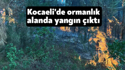Kocaeli'nin İzmit ilçesinde ormanlık alanda çıkan yangın, ekiplerin müdahalesiyle büyümeden