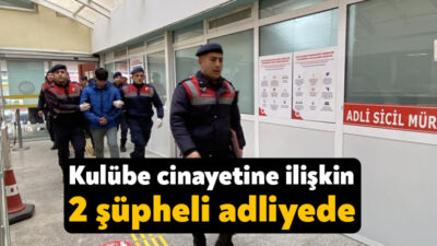 Kocaeli'nin Kartepe ilçesinde İsa Turgut'un başına baltayla burularak öldürülmesine ilişkin