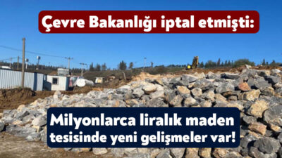Rızalar Mozaik Şirketi tarafından Gebze’ye yapılmak istenen proje aralık ayında