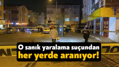 Körfez 1. Asliye Ceza Mahkemesi basit yaralama suçundan kaydı bulunan