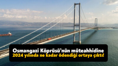 CHP Zonguldak Milletvekili Deniz Yavuzyılmaz, Osmangazi Köprüsü’ne 2024 yılında araç