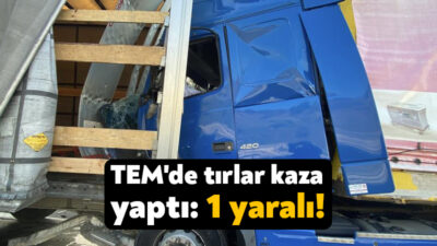 TEM Otoyolu'nun Kocaeli geçişinde tır, emniyet şeridindeki arızalı tıra çarptı.