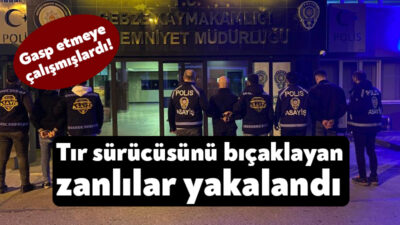 Kocaeli'nin Gebze ilçesinde akaryakıtını gasp etmeye çalıştıkları tırın sürücüsünü bıçaklayan