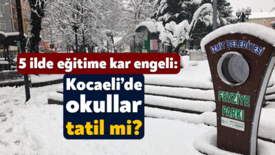 Türkiye’nin 5 ilinde eğitime kar nedeniyle bir günlük ara verildi.