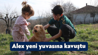 Patilik Mutlu Sokak Hayvanları Kasabası’ndan sahiplenilen Alex, Şahin ailesinin yeni