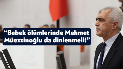 DEM Parti Kocaeli Milletvekili Ömer Faruk Gergerlioğlu, TBMM Bebek Ölümlerini