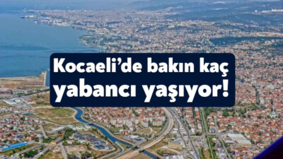 Türkiye İstatistik Kurumu illere ve cinsiyetlere göre yabancı nüfus verilerini