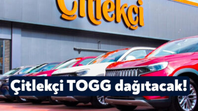 Türkiye'nin sevilen markası Çitlekçi'nin 30’uncu yılında 30 TOGG kampanyası başladı.