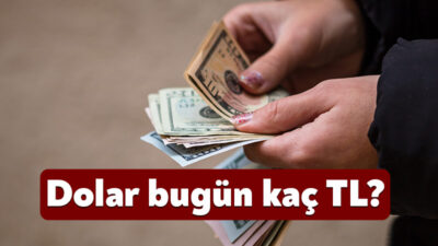 Döviz piyasalarında hareketlilik hız kesmeden devam ediyor. Küresel ve yerel