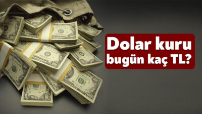 Yeni para birimi döviz dalgalanmalarıyla başlandı. İstanbul'da serbest olarak sunulan