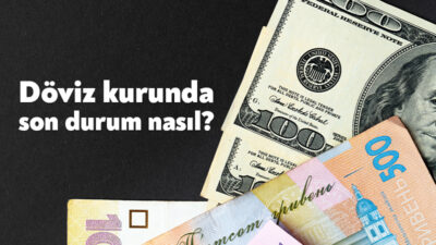Dünyada ve Türkiye’de yaşanan son gelişmeler döviz kurunu da etkiliyor.