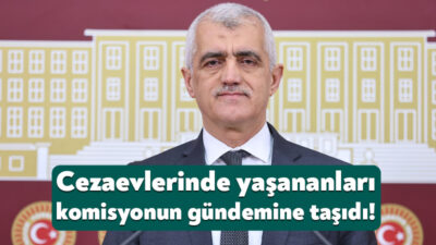 DEM Parti Kocaeli Milletvekili Ömer Faruk Gergerlioğlu, TBMM İnsan Hakları