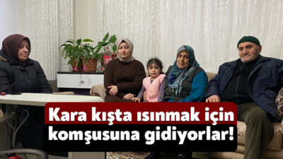 Kocaeli'nin Körfez ilçesinde yaklaşık bir aydır devam eden doğal