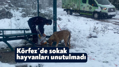 Körfez Belediyesi ekipleri, kar yağışı ve soğuk havanın etkisini artırmasıyla
