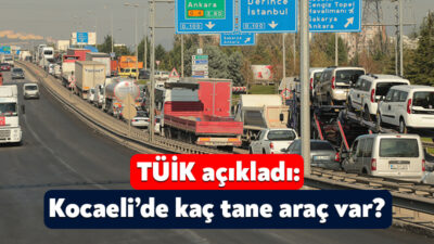 Türkiye İstatistik Kurumu, motorlu kara taşıtlarına ilişkin verileri yayınladı. Buna