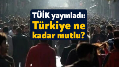 Türkiye İstatistik Kurumu 2024 yılının “Yaşam Memnuniyeti Araştırması” sonuçlarını açıkladı.