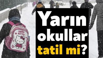 Yoğun kar yağışı pek çok il ve ilçede etkisini sürdürürken,