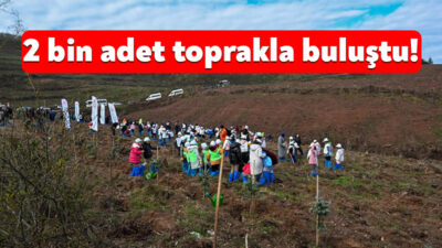 21 Mart Dünya Ormancılık Günü ve Orman Haftası sebebiyle ‘’Doğanın