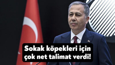 İçişleri Bakanı Ali Yerlikaya, Konya'da sokakta oynadığı sırada sokak köpeklerinin