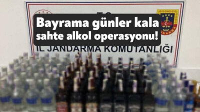 Kocaeli'de jandarma ekiplerince yapılan operasyonda 103 şişe sahte alkol, 3
