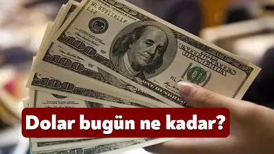 Dünyada ve Türkiye’de yaşanan gelişmeler döviz kurunda da hareketliliğe neden