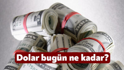 Dünyada ve Türkiye’de yaşanan gelişmeler döviz kurunu da etkilemeye devam