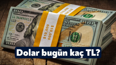 Dünyada ve Türkiye'de yaşanan gelişmeler, döviz kuru üzerindeki mevcut durumu