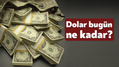 20 NİSAN ANLIK DÖVİZ KURU: Döviz kurlarında hareketlilik devam ediyor.